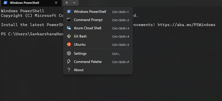 Windows Terminal Settings